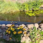 Photo n°4 de l'avis de Andreas.c fait le 27/07/2022 à 08:57 sur le  Pension Hofgarten à Rheinsberg