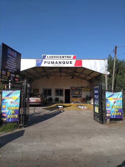 Lubricetro Pumanque