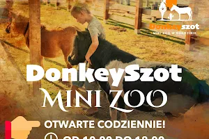 Donkeyszot. Mini zoo w Rogozinie. Alpaki! image