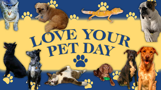 Insurance Agency «Wiglesworth-Rindom Insurance Agency», reviews and photos