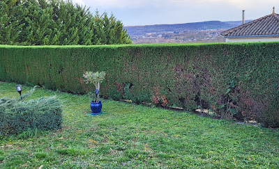 FGR GARDEN espace vert 47 à Villeneuve-sur-Lot