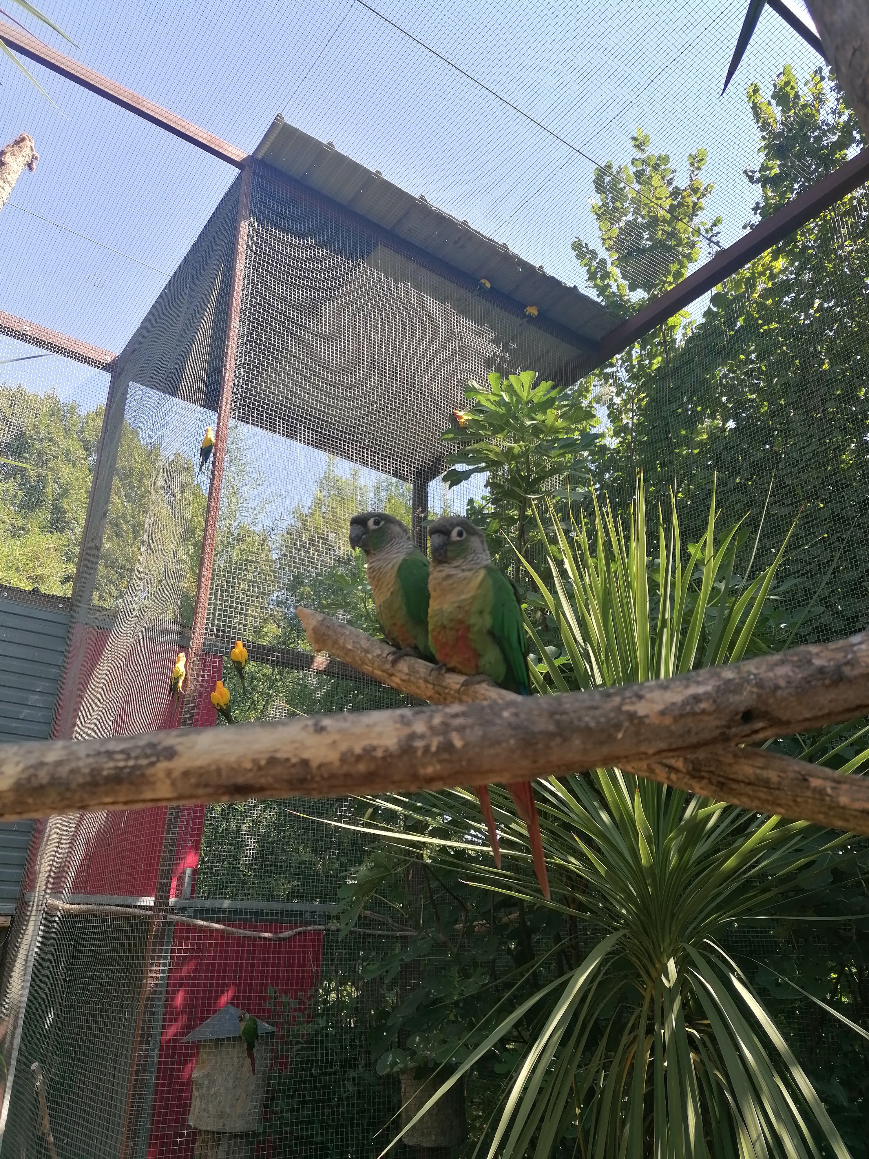 Photo n° 33 de l'avis de Gilles.. fait le 23/08/2023 à 12:57