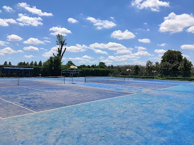 彩湖・道満グリーンパーク テニスコート