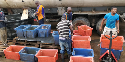 Bharat Ventures Limited, Apapa-Oshodi Express Way, Lawanson, Lagos, Nigeria, Pet Store, state Lagos