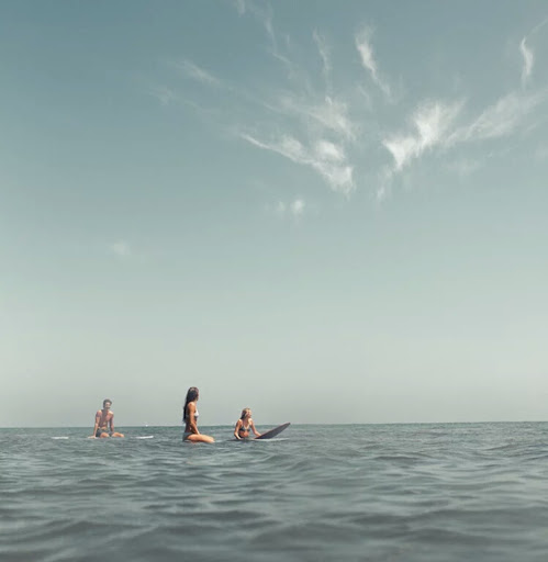 Surf Shop «Mollusk Surf Shop», reviews and photos, 4500 Irving St, San Francisco, CA 94122, USA