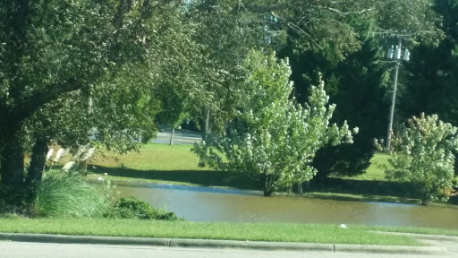 Grocery Store «Food Lion», reviews and photos, 802 Harbour W Dr, Rocky Mount, NC 27803, USA