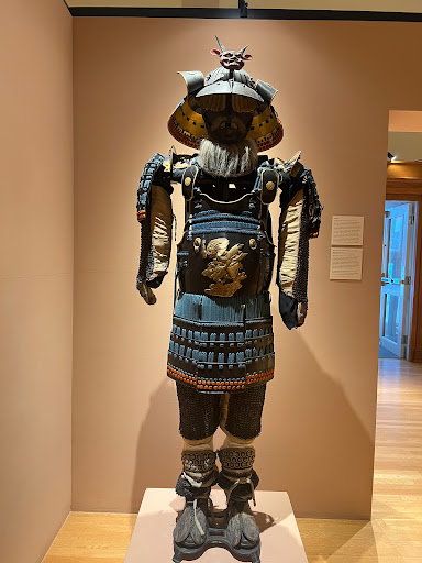 Art Museum «Fleming Museum of Art», reviews and photos, 61 Colchester Ave, Burlington, VT 05405, USA