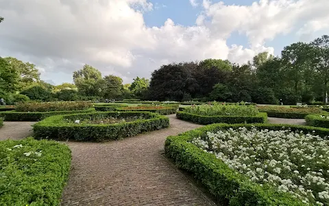 Rosarium Vondelpark image