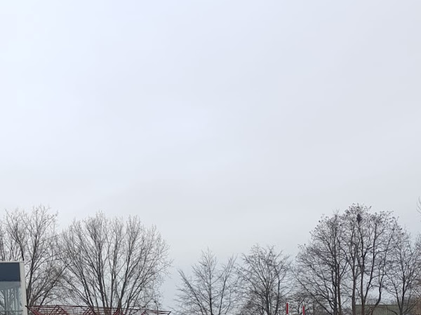 Imagen de la reseña de Jip Van Laarhoven