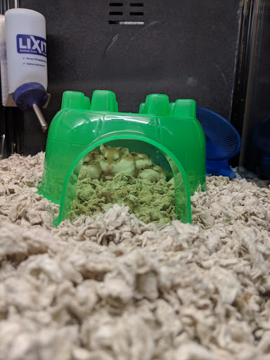 Pet Supply Store «PetSmart», reviews and photos, 13866 Metrotech Dr, Chantilly, VA 20151, USA