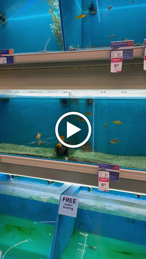 Pet Supply Store «PetSmart», reviews and photos, 4300 E Alameda Ave, Glendale, CO 80246, USA