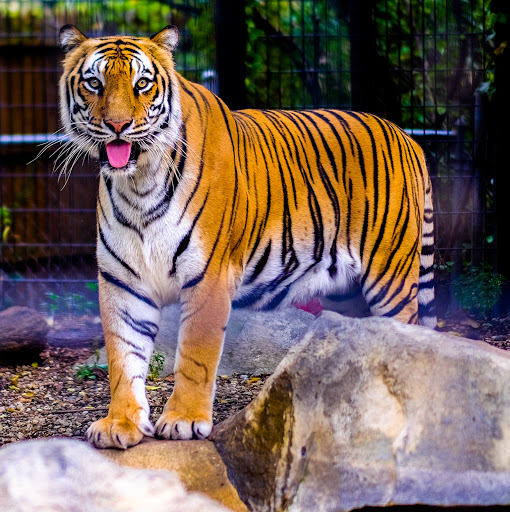 Zoo «Washington Park Zoo», reviews and photos, 115 Lake Shore Dr, Michigan City, IN 46360, USA