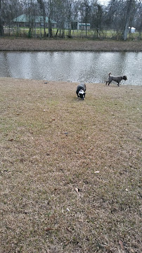 DSLD Homes - Sugar Mill Plantation - Photo 8 - Car repair in Addis, LA, Baton Rouge