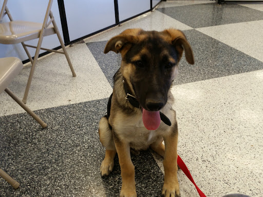 Pet Supply Store «Petco Animal Supplies», reviews and photos, 1835 E Guadalupe Rd #112, Tempe, AZ 85283, USA