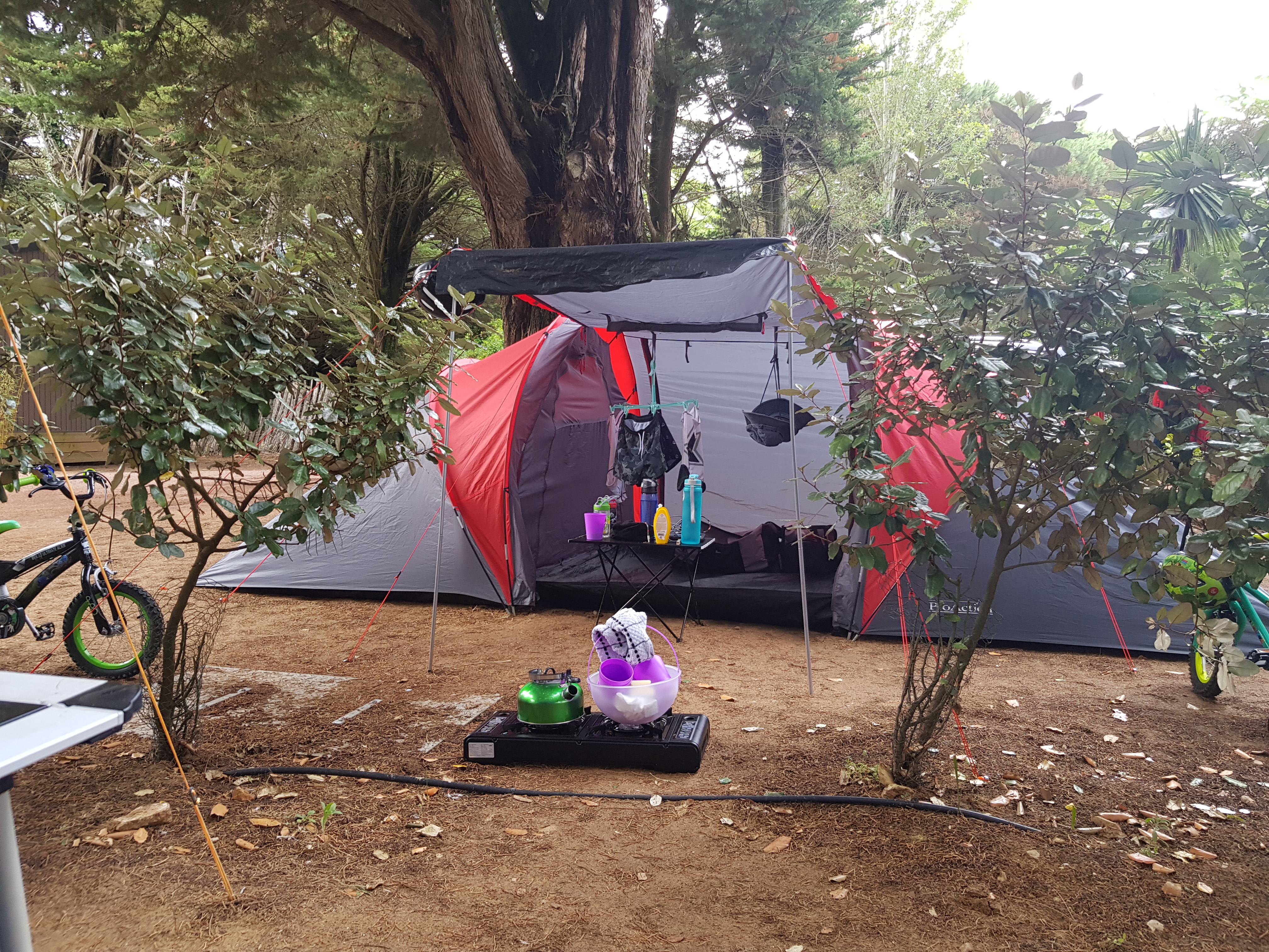 Photo n° 4 de l'avis de Sachi.e fait le 19/08/2020 à 20:40