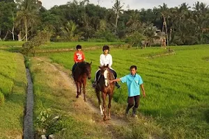 Ubud Horse Stables image