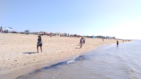 Playa del Vigia