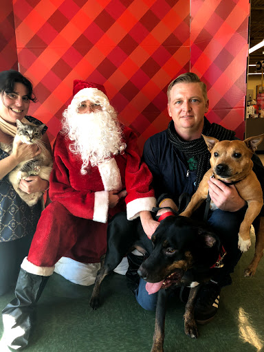 Pet Supply Store «Petco Animal Supplies», reviews and photos, 30697 US Hwy 19 N, Palm Harbor, FL 34684, USA