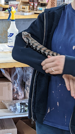 Pet Store «All Pets Club», reviews and photos, 1167 N Colony Rd, Wallingford, CT 06492, USA