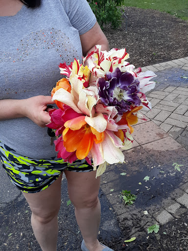 Park «Lilacia Park», reviews and photos, 150 S Park Ave, Lombard, IL 60148, USA