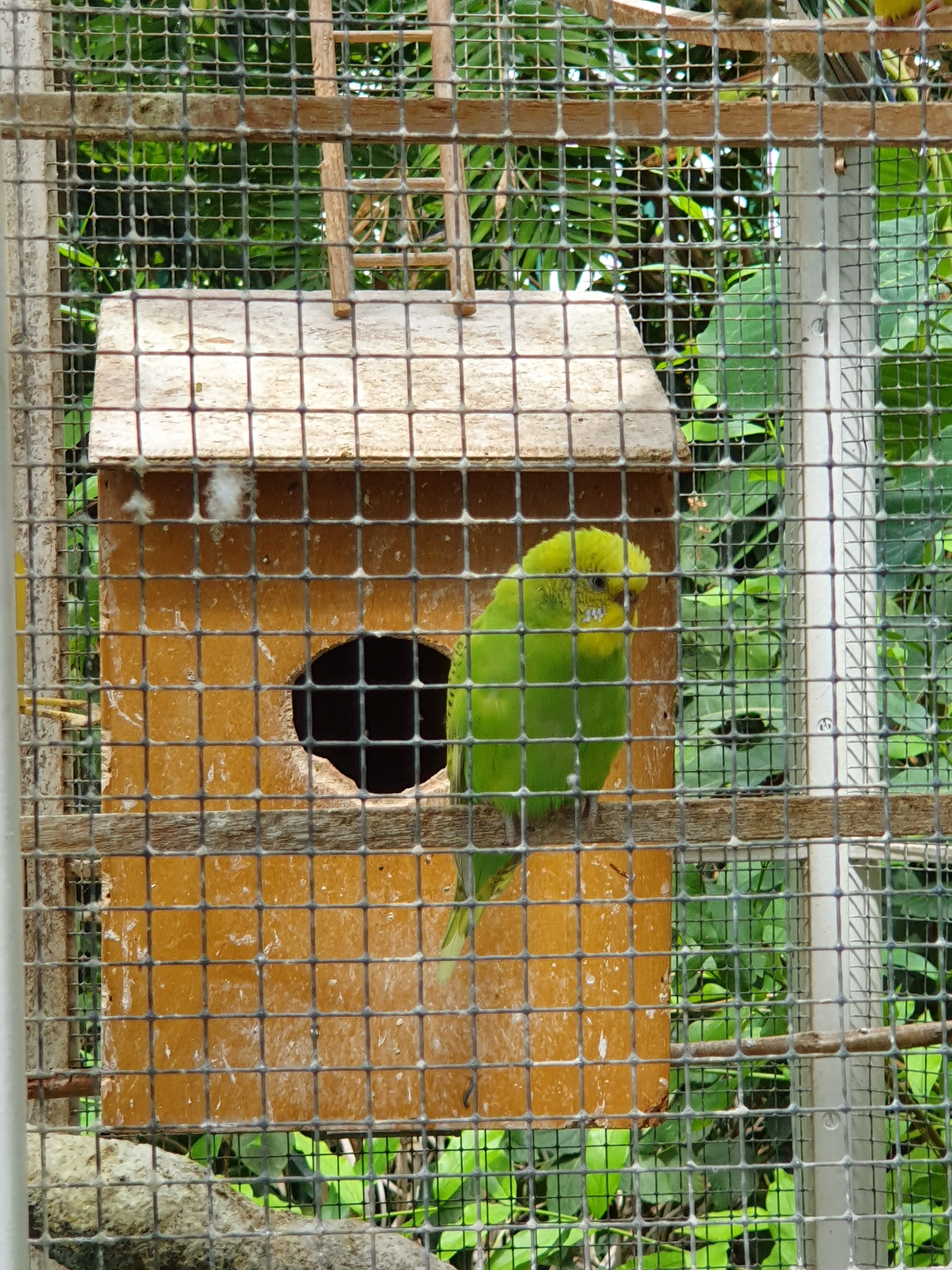 Photo n° 28 de l'avis de Peter.e fait le 06/08/2019 à 15:24