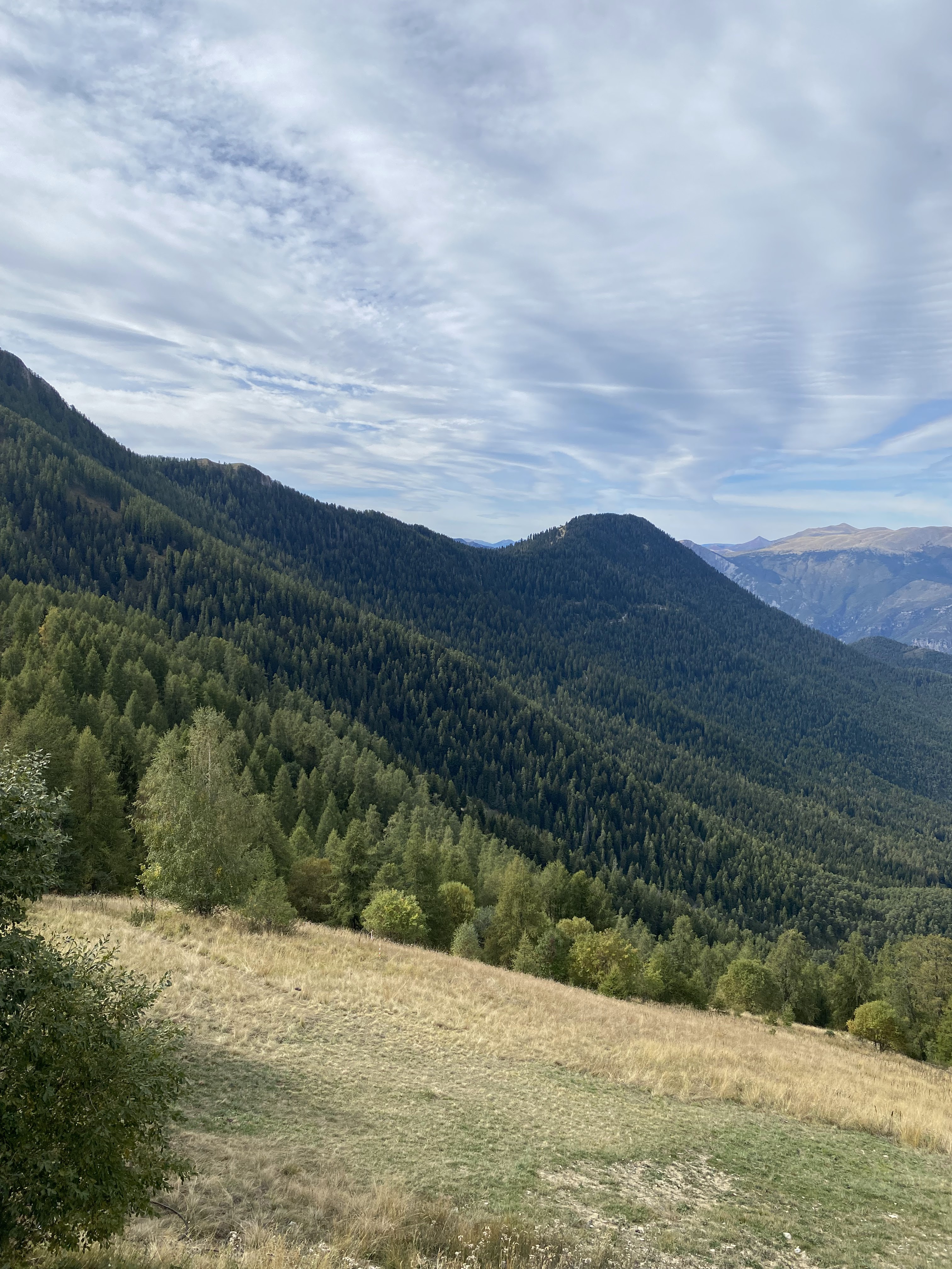 Photo n° 2 de l'avis de Francois.o fait le 15/10/2023 à 15:37