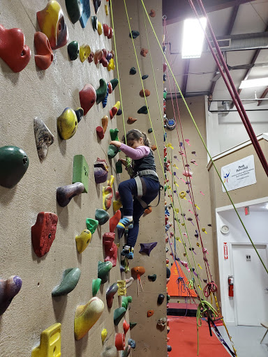 705 Ginesi Dr, Morganville, NJ 07751, USA