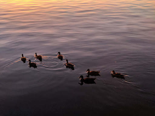 Art Center «Tempe Center for the Arts», reviews and photos, 700 W Rio Salado Pkwy, Tempe, AZ 85281, USA