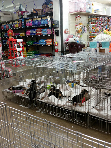 Pet Store «Pet World - Auburndale», reviews and photos, 3637 Havendale Blvd, Auburndale, FL 33823, USA