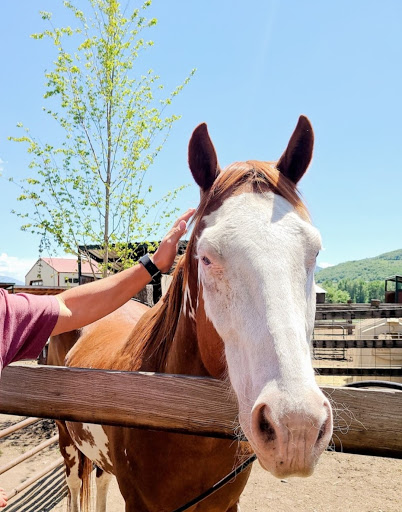 Animal Feed Store «IFA Country Stores», reviews and photos, 1071 Pioneer Rd, Draper, UT 84020, USA