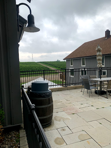 Winery «Dablon Vineyards & Winery», reviews and photos, 111 W Shawnee Rd, Baroda, MI 49101, USA