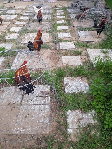 Nhà nghỉ Phương Anh