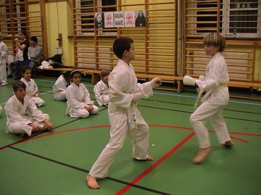 Gojukai Karatedo Stockholm