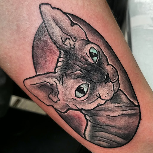 Explore small disney tattoo ideas, creative tattoo ideas in Plainfield, available at Tattoo Warehouse AND Body Piercings