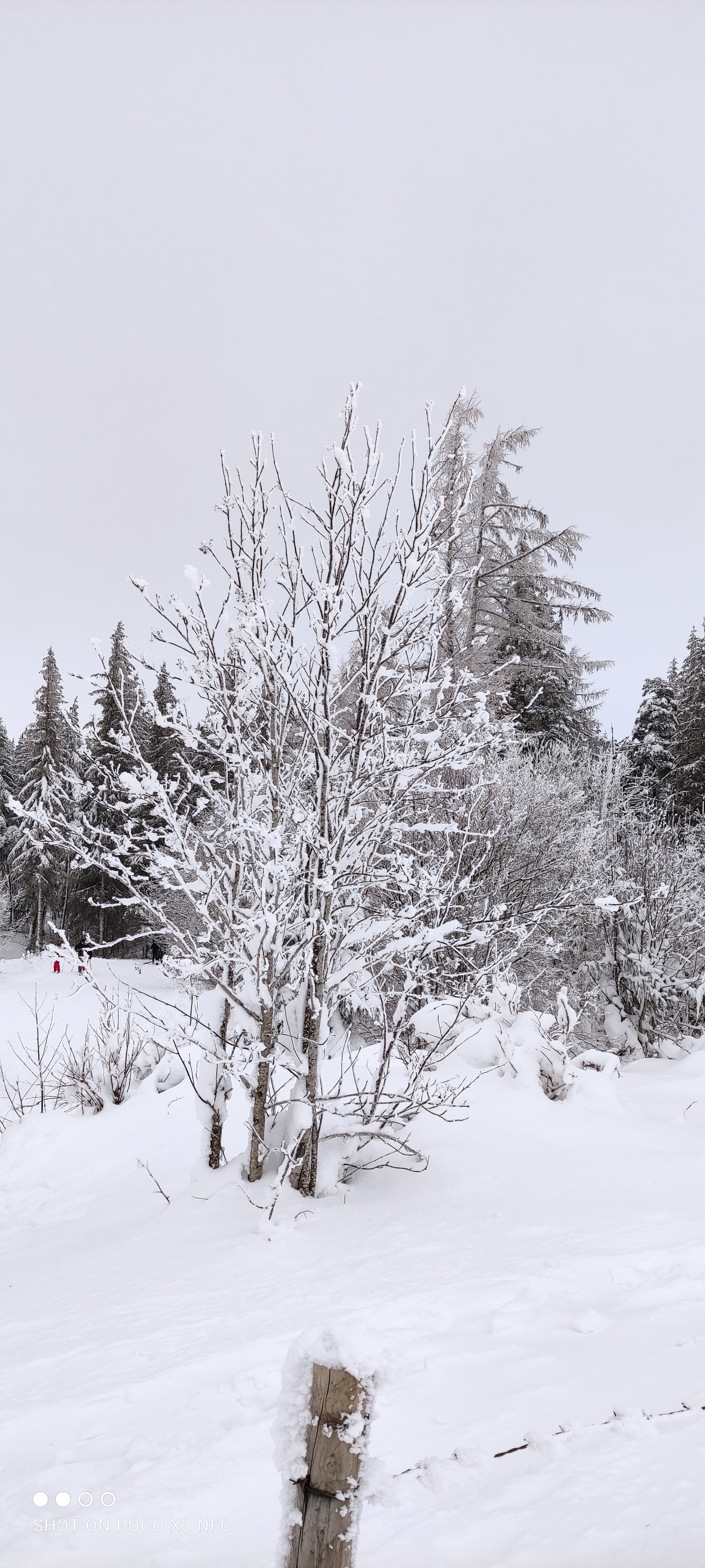 Photo n° 1 de l'avis de Angélique.O fait le 10/01/2021 à 20:41