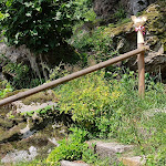 Photo n°2 de l'avis de Cristina.e fait le 25/07/2021 à 15:04 sur le  Café Alm à Neuschönau