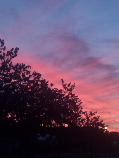 Cafe «Cream City Ice Cream & Coffee House», reviews and photos, 119 W Broad St, Cookeville, TN 38501, USA