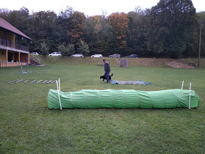 Training Club Canin Sarrewerden à Sarrewerden