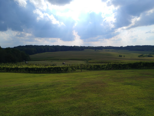 Winery «Winzerwald Winery», reviews and photos, 26300 North Indian Lake Rd, Bristow, IN 47515, USA