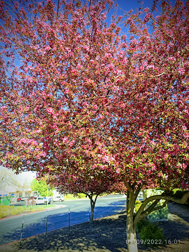 Shopping Mall «Feather Down Shopping Center», reviews and photos, 1258 Stabler Ln, Yuba City, CA 95993, USA