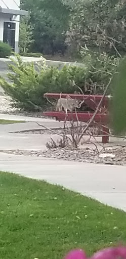 12055 Sage Point Ct # 101, Reno, NV 89506, USA