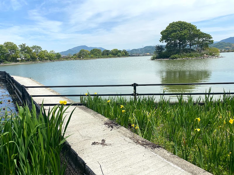 平池緑地公園