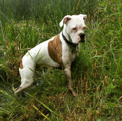 Pet Supply Store «Pet Supplies Plus», reviews and photos, 4505 S 76th St, Greenfield, WI 53220, USA