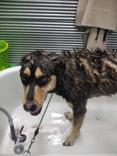 Pet Supply Store «The Green Spot», reviews and photos, 1110 S 71st St, Omaha, NE 68106, USA