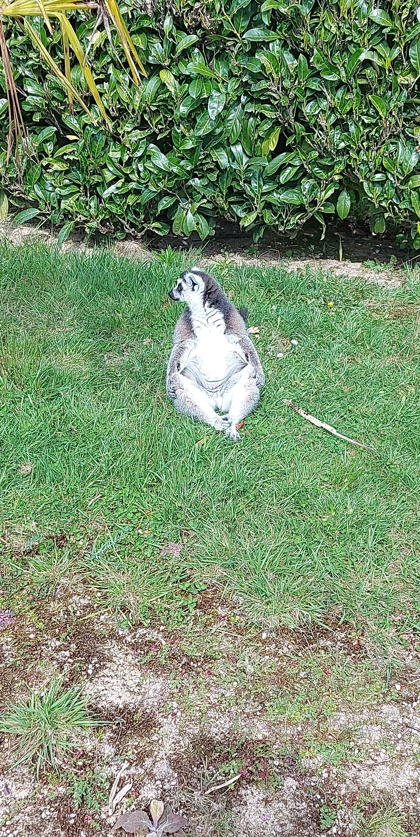 Photo n° 29 de l'avis de Mél.i fait le 21/04/2022 à 16:37