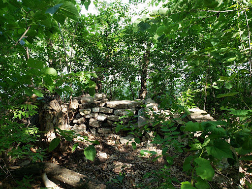 Park «Silver Lake Beach Park», reviews and photos, 4305 NE Stinson Blvd, Columbia Heights, MN 55421, USA