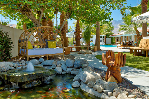 Dive Palm Springs image