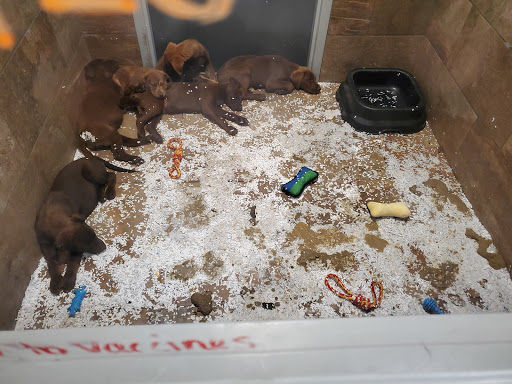 Pet Store «Pets Plus - Lansdale», reviews and photos, 555 S Broad St, Lansdale, PA 19446, USA