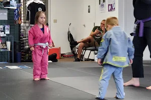 Island Jiu Jitsu Michigan image