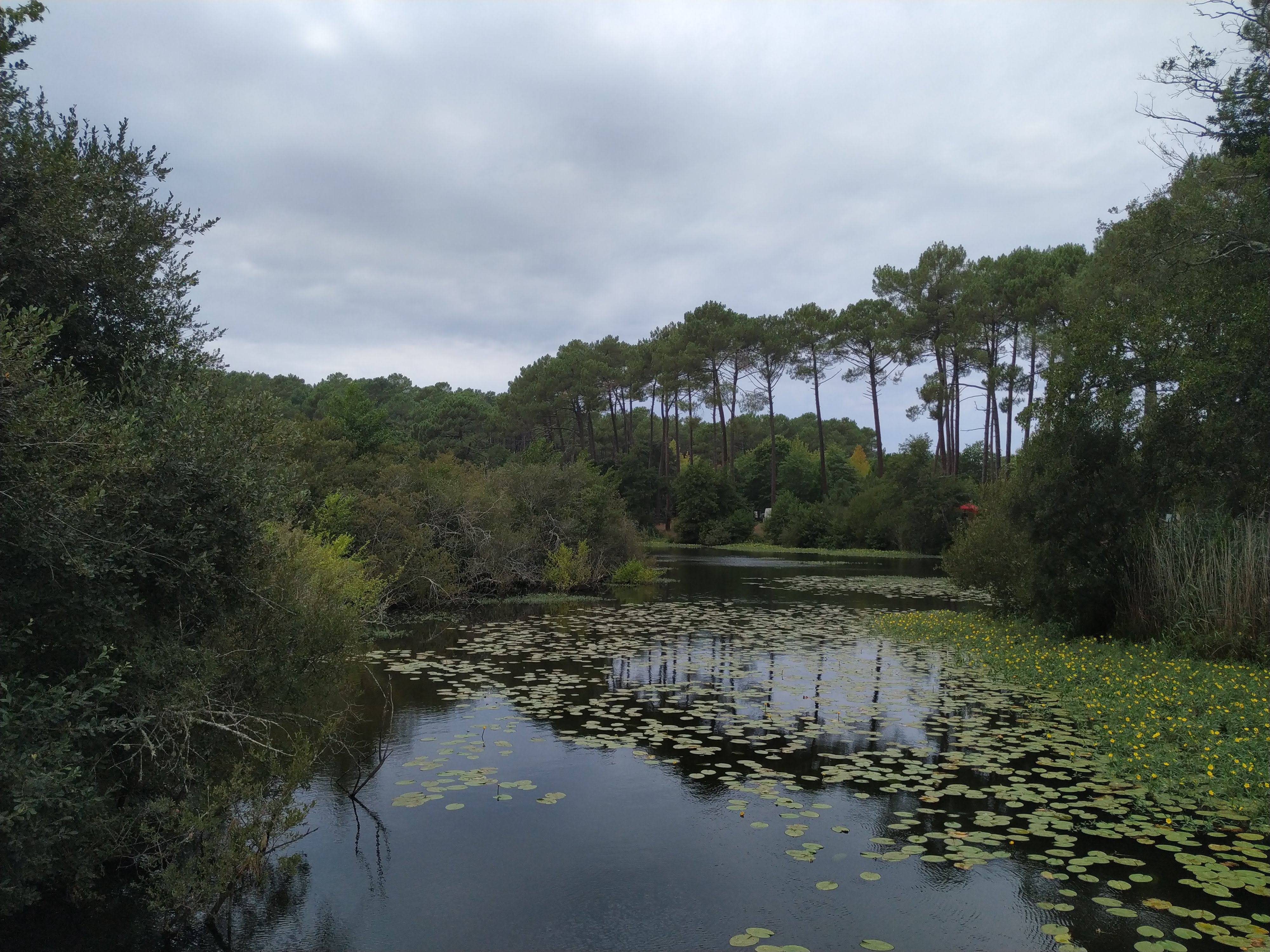 Photo n° 29 de l'avis de emmanuel.6 fait le 27/08/2019 à 16:24